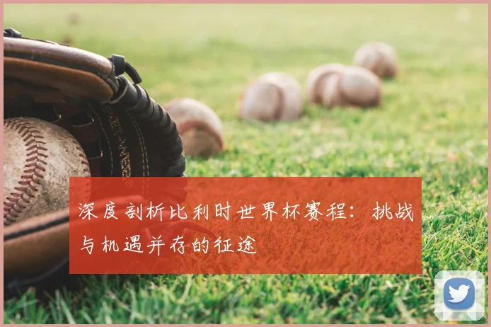 深度剖析比利时世界杯赛程:挑战与机遇并存的征途