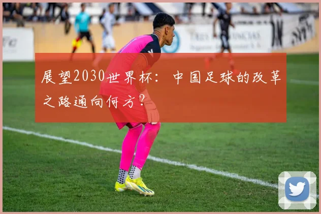 展望2030世界杯:中国足球的改革之路通向何方?