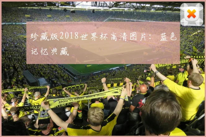 珍藏版2018世界杯高清图片:蓝色记忆典藏