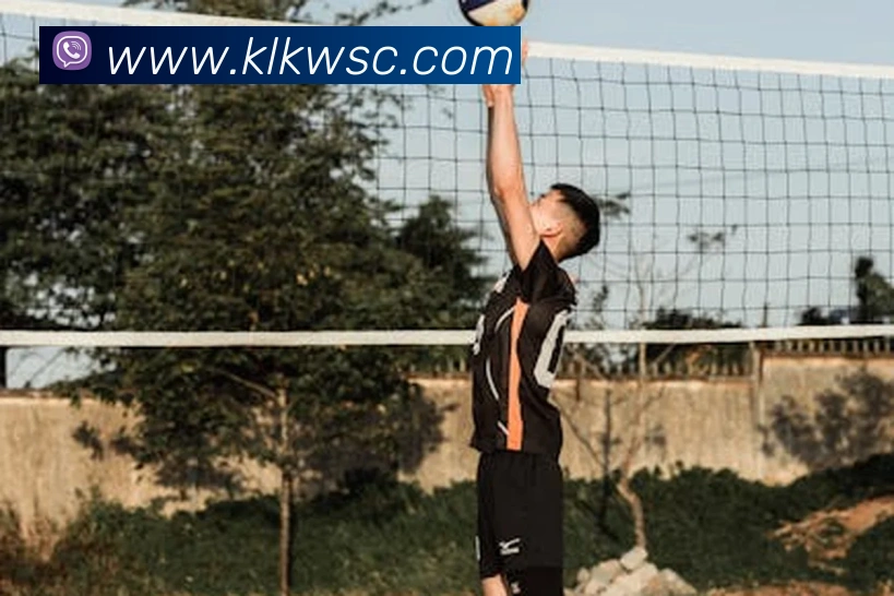 App Interface Preview